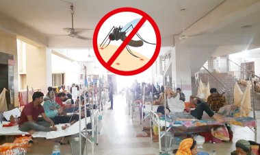 একদিনে আরও ৮৮৯ জন হাসপাতালে ভর্তি, মৃত্যু ৩