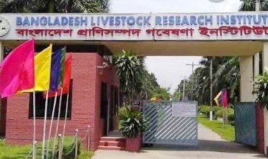 সাভারে গবেষণার ৩৮ মোরগ চুরি