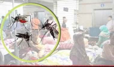 একদিনে রেকর্ড ১২৪৬ ডেঙ্গুরোগী হাসপাতালে, পাঁচজনের মৃত্যু