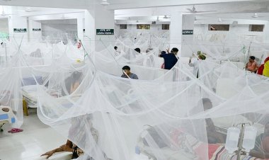 সারাদেশেই ডেঙ্গুর প্রকোপ, ধরন বদলে ছড়াচ্ছে দ্রুত