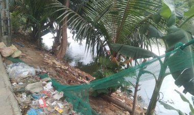 গুলশান-বনানীতেও বেড়েছে মশার উপদ্রব