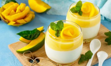 আমের কাস্টার্ড তৈরির রেসিপি