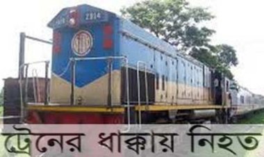 ছাগল বাঁচাতে গিয়ে ট্রেনের ধাক্কায় প্রাণ হারালেন নিজেই 