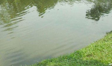 হবিগঞ্জে পুকুরে ডুবে প্রাণ গেল ফুফু-ভাতিজার 