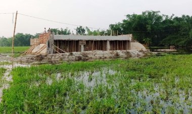 দুই পাশে রাস্তা নেই, ফসলের মাঠে ৩৮ লাখ টাকার সেতু