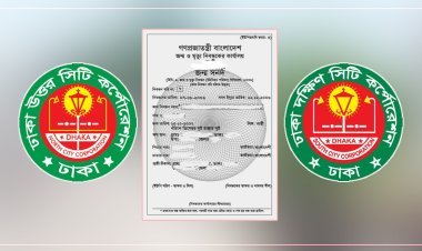 থাকে না সার্ভার, জন্মনিবন্ধনে পদে পদে ভোগান্তি