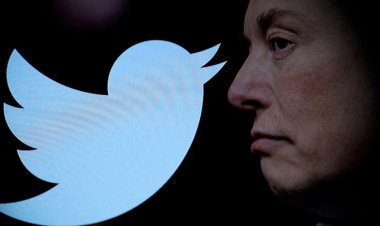 বদলে যাবে টুইটারের লোগো, নীল পাখির বিদায়!