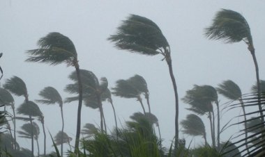 সাত অঞ্চলে ৬০ কিলোমিটার বেগে ঝড়ের আভাস