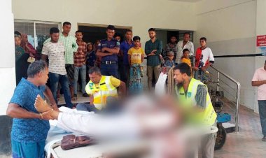 ফরিদপুরে বাসচাপায় প্রাণ গেলো দুই ভাইয়ের