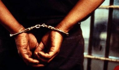 চুয়াডাঙ্গায় বিএনপির ১১ নেতাকর্মী আটক