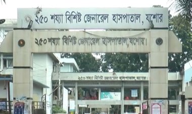  যশোরে ডেঙ্গুতে এক নারীর মৃত্যু, নতুন আক্রান্ত ১৭