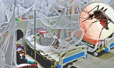একদিনে ২৬৯৪ ডেঙ্গু রোগী হাসপাতালে, মৃত্যু ৪