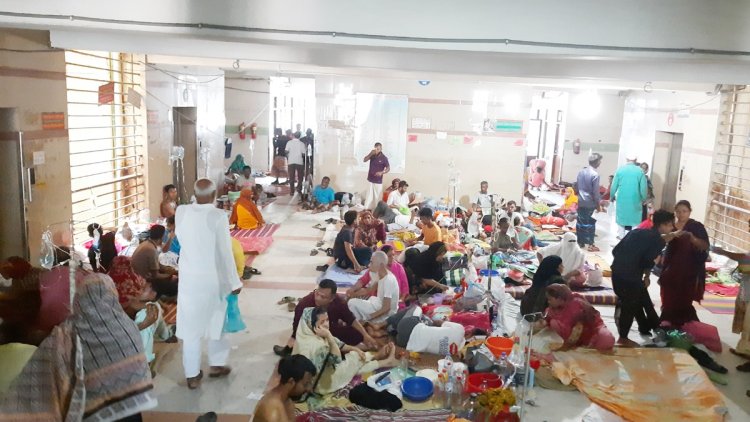 ডেঙ্গুতে আরও ৯ জনের মৃত্যু, ঢাকার বাইরে বেড়েছে ভর্তি