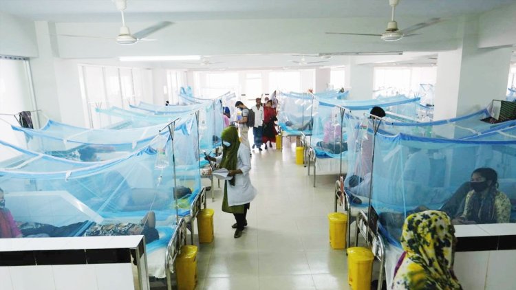 ডেঙ্গুর টিকা সরকারের বিবেচনায় আছে: স্বাস্থ্য অধিদপ্তর