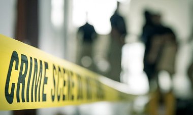 চাকরিচ্যুত হয়ে ফের অপরাধে জড়াচ্ছেন আইনশৃঙ্খলা বাহিনীর সদস্যরা