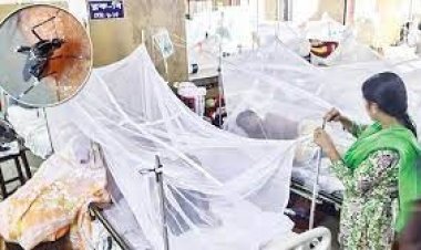  ঢাকায় বাড়ছে না ডেঙ্গু, হাসপাতালেও শয্যা ফাঁকা : অধিদপ্তর