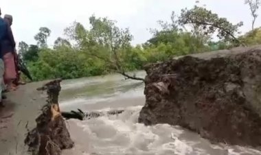পেকুয়ায় বেড়িবাঁধ ভেঙে লোকালয় প্লাবিত