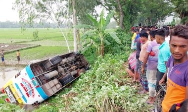  বাস উল্টে সড়কের পাশের খাদে, আহত ২৫