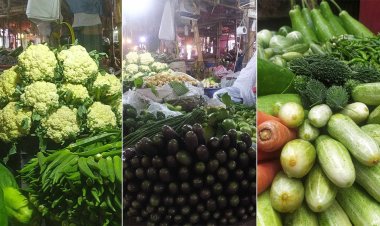টমেটো ও কাঁচা মরিচের দাম বৃদ্ধি: মাছ-মাংসের দাম অপরিবর্তিত