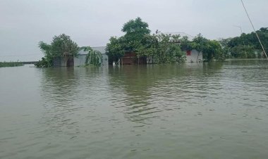  পানি বাড়ছে ব্রহ্মপুত্র-যমুনার