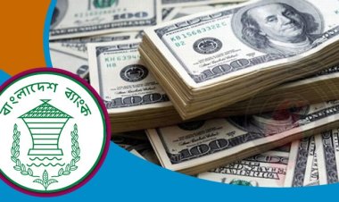 রিজার্ভ এখন ২৩.২৬ বিলিয়ন ডলার