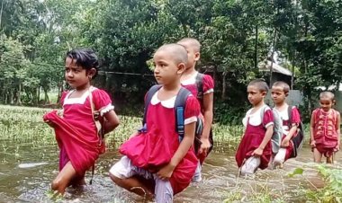 নেই সড়ক, পানি মাড়িয়ে স্কুলে যাচ্ছে শিশুরা