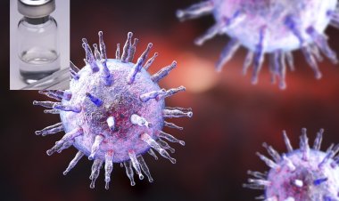 এই প্রথম সংক্রামক এপস্টাইল-বার ভাইরাসের ভ্যাকসিন তৈরি করলেন বিজ্ঞানীরা