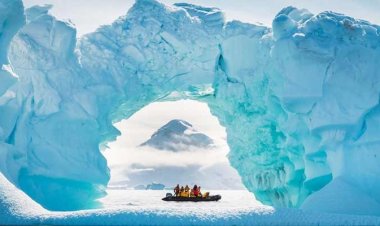 অ্যান্টার্কটিকার কাছে ২০ বাহু যুক্ত এলিয়েন-সদৃশ প্রাণি আবিষ্কার