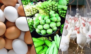 ডিমের দাম কমেছে, বেড়েছে সবজি-মাছের