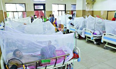 ডেঙ্গুতে মৃত্যু সাড়ে ৪০০ ছাড়ালো