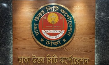  ড্রেনেজ সার্কেলের আওতায় বৈদ্যুতিক কাজ করবে ডিএনসিসি