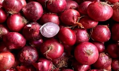  শুল্ক আরোপের খবরে রাতারাতি বাড়ল পেঁয়াজের দাম