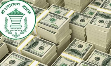  শ্রীলঙ্কাকে দেওয়া ঋণের ৫ কোটি ডলার ফেরত পেল বাংলাদেশ