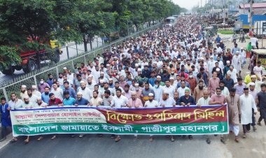 তাবেদার রাষ্ট্র এবং আধিপত্যবাদের এজেন্ডা বাস্তবায়নের লক্ষ্যে  সাঈদীকে পরিকল্পিত হত্যা করা হয়েছে:  খায়রুল হাসান 