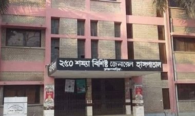 বড় ভাইয়ের কামড়ে ছোট ভাইয়ের মৃত্যু