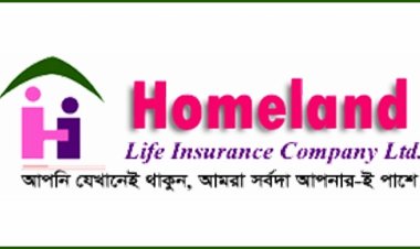তহবিল সংকট, বিপাকে হোমল্যান্ড লাইফের বিমা গ্রাহকরা