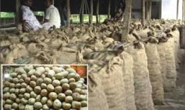 দুই দিনে বস্তা প্রতি আলুর দাম বেড়েছে ১০০ টাকা