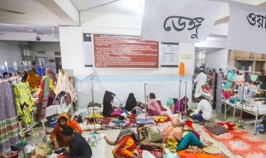  ডেঙ্গুতে ১৪ জনের মৃত্যু, হাসপাতালে ভর্তি ১৫৯৪