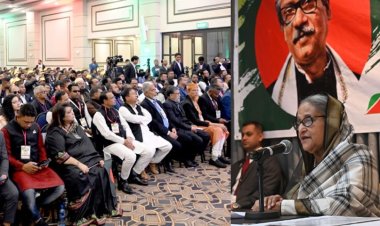 প্রবাসীদের কাছে ‘নৌকার’ পক্ষে ভোট চাইলেন প্রধানমন্ত্রী