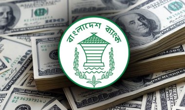 রিজার্ভ থেকে ডলার বিক্রি অব্যাহত