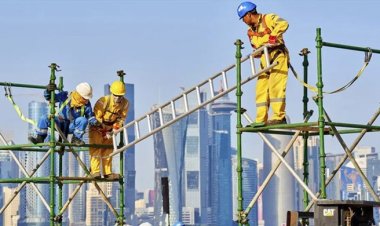 সর্বজনীন পেনশনে একক চাঁদায় এগিয়ে প্রবাসীরা