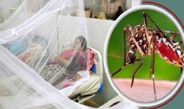  ডেঙ্গুতে ৯ জনের মৃত্যু, হাসপাতালে ১৯৬০