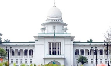  তালগাছ উপড়ে ফেলার ঘটনায় ইউপি চেয়ারম্যানকে বরখাস্তের নির্দেশ