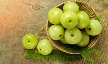  প্রতিদিন আমলকী খেলে ত্বকের যেসব উপকার হয়