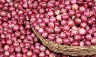 সেঞ্চুরি ছাড়িয়ে উর্ধ্বমুখী পিয়াজ