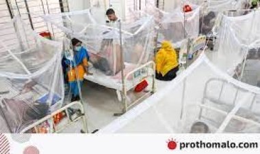 ঝিনাইদহে ডেঙ্গুতে প্রথম মৃত্যু, হাসপাতালে ভর্তি ৫৩