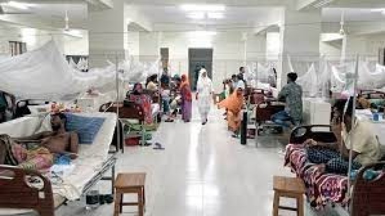 ডেঙ্গু আতঙ্কে চিকিৎসক নার্সরাও