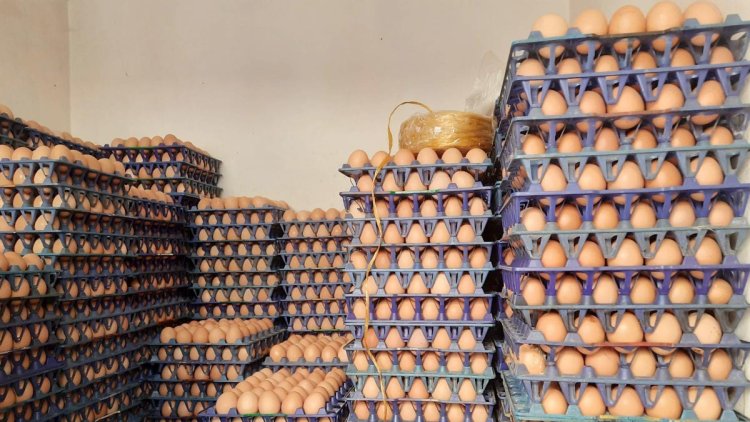 ‘ডিমই ছিল আমাদের ভরসা, এখন তা-ও কিনতে পারছি না’