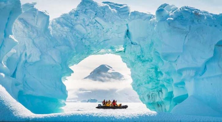 অ্যান্টার্কটিকার কাছে ২০ বাহু যুক্ত এলিয়েন-সদৃশ প্রাণি আবিষ্কার