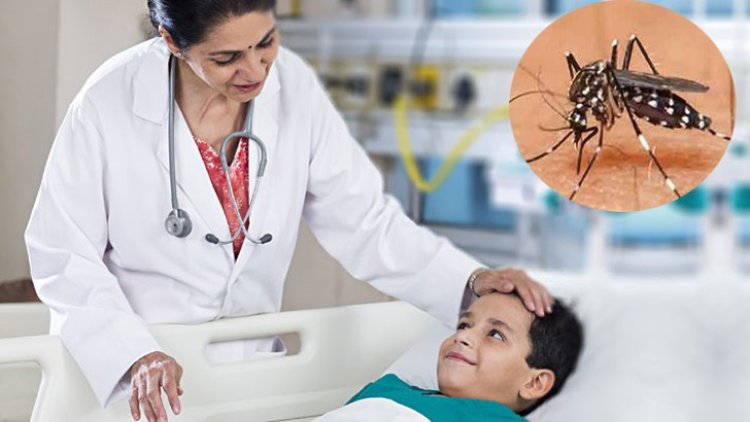 ডেঙ্গু থেকে বাঁচতে কী করবেন?